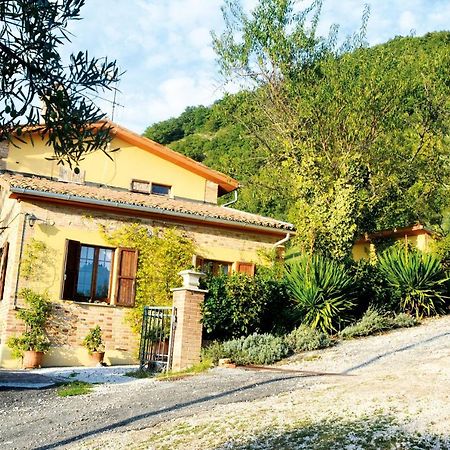 גוביו Villa Mischianti מראה חיצוני תמונה