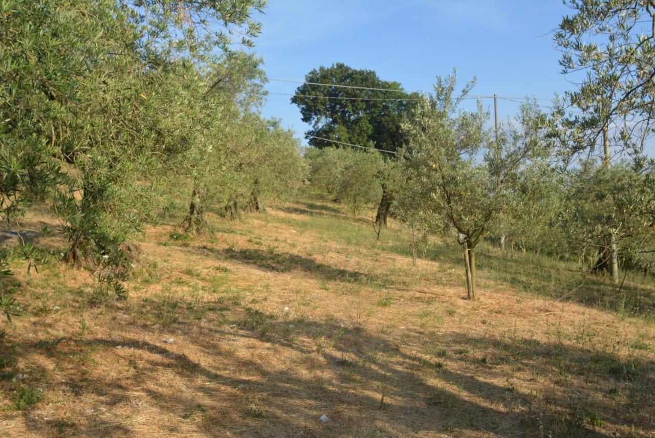 גוביו Villa Mischianti מראה חיצוני תמונה