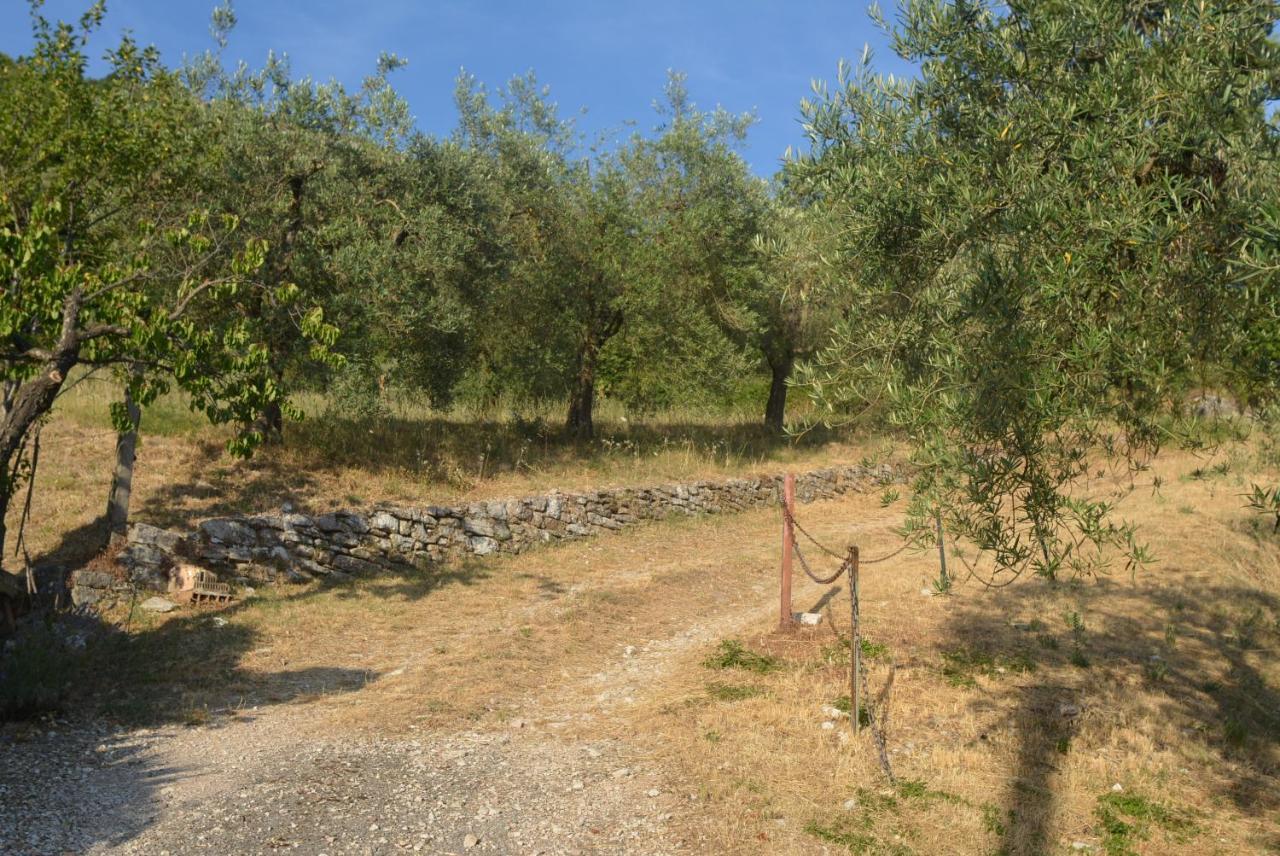 גוביו Villa Mischianti מראה חיצוני תמונה